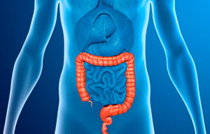 Read more about the article Kolonoskopia – lek. med. Paweł Wieliński